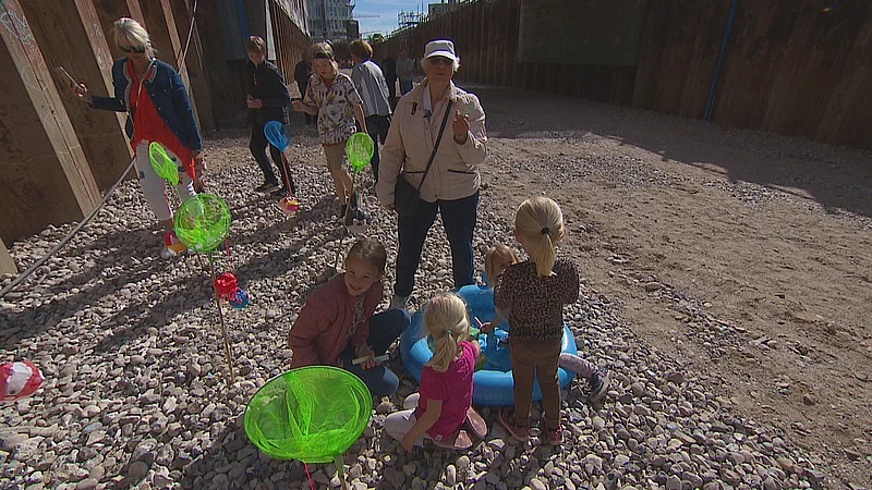 Rige Ella Gik En Tur P Bunden Af Havnen En Oplevelse Man Ikke