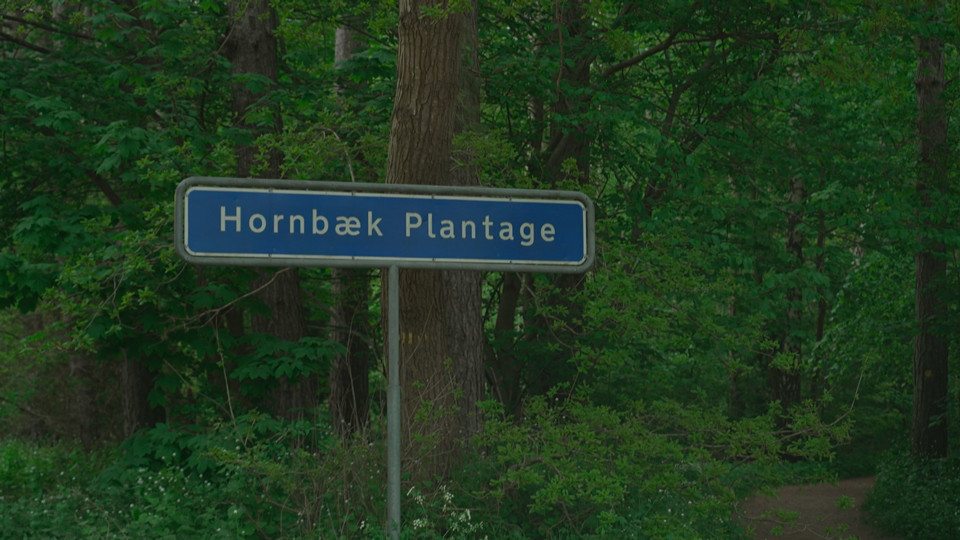  Hornbæk Plantage