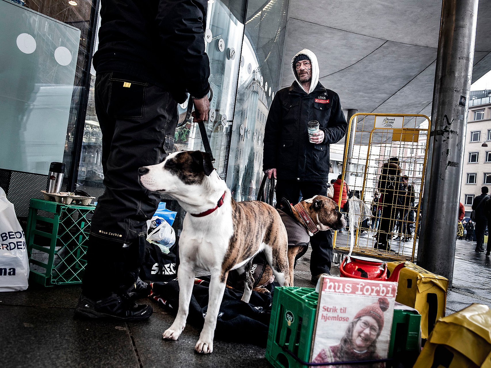 Københavns bruger en halv million på hjemløse | TV 2 Kosmopol