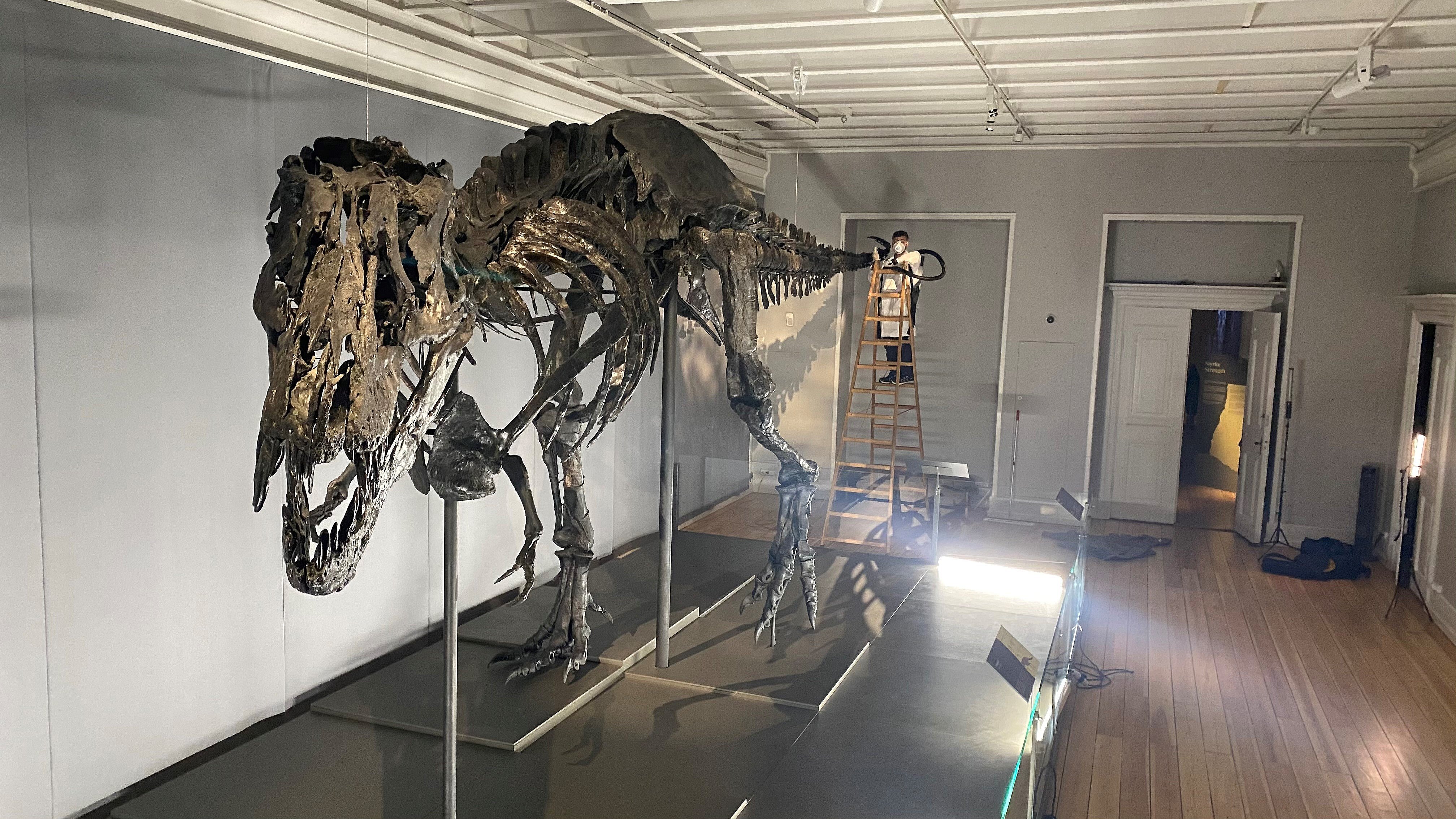 Ud fup læser Abdi støvsuger en Tyrannosaurus rex: "Jeg er simpelthen så privilegeret!" |  TV 2 Lorry