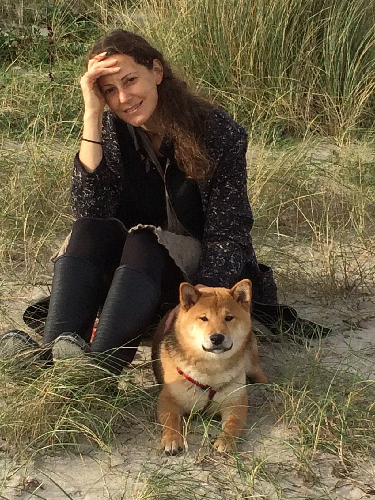 besejret løn stak Jagtet af ræv: Tamo og hendes hunde måtte flygte fra park på Vesterbro | TV  2 Kosmopol