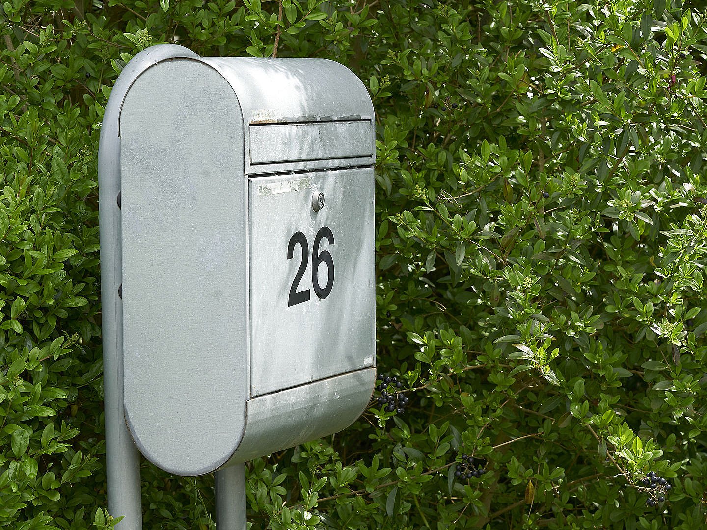 28-årig stjal nøglekort fra postkasser - fik oplysninger fra biblioteker | TV 2 Kosmopol