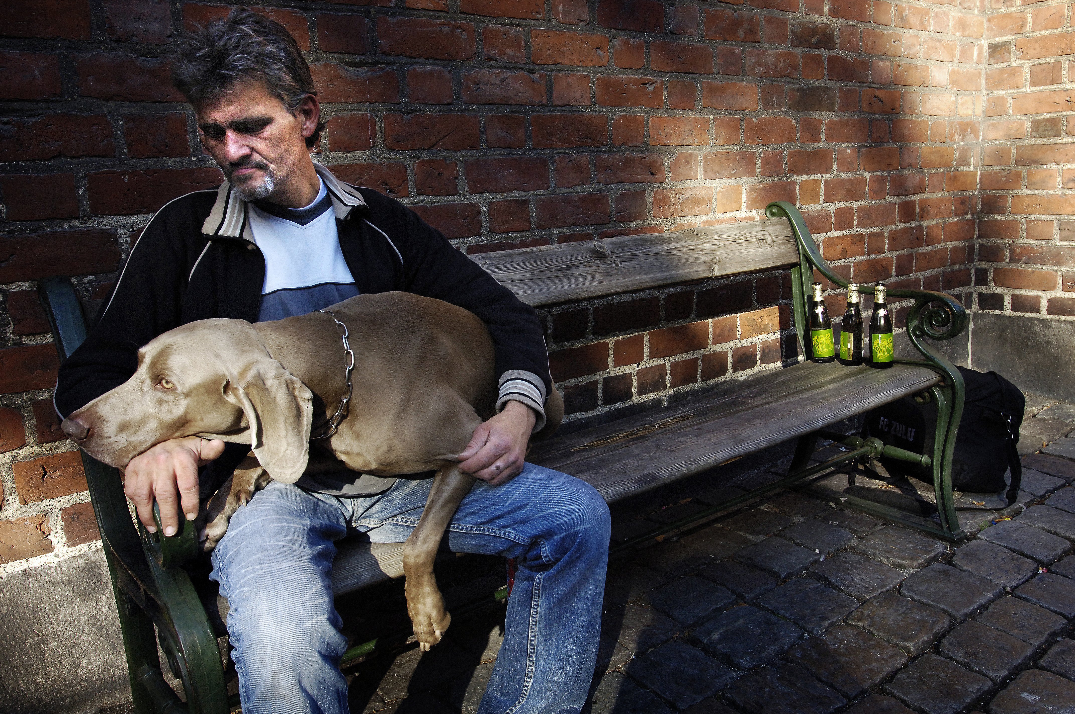 Sille åbner sit for hjemløse: jeres hunde med | TV 2