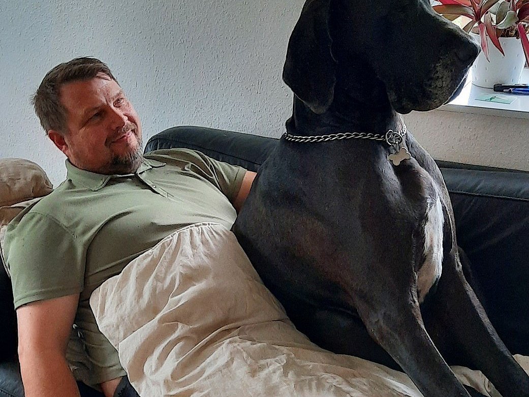 Mand stor hund satte en stopper for indbrudstyv | 2 Kosmopol