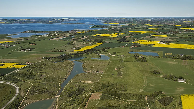 Her Omdanner De Gamle Landbrug Til Skov – Og Flere Følger Trop | TV 2 ...