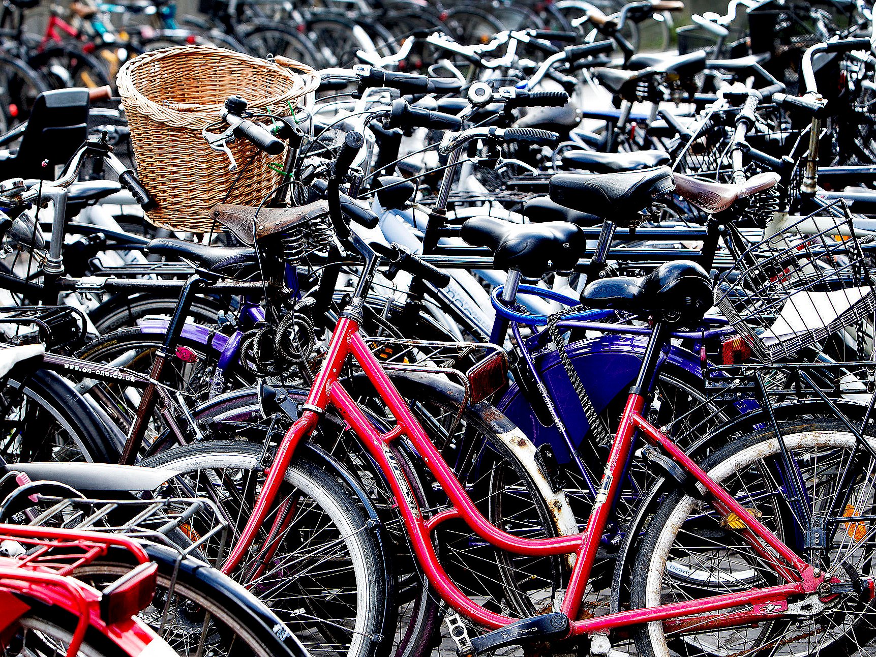 Har du en gammel, ubrugelig cykel? Her kan den få liv | TV 2 Kosmopol